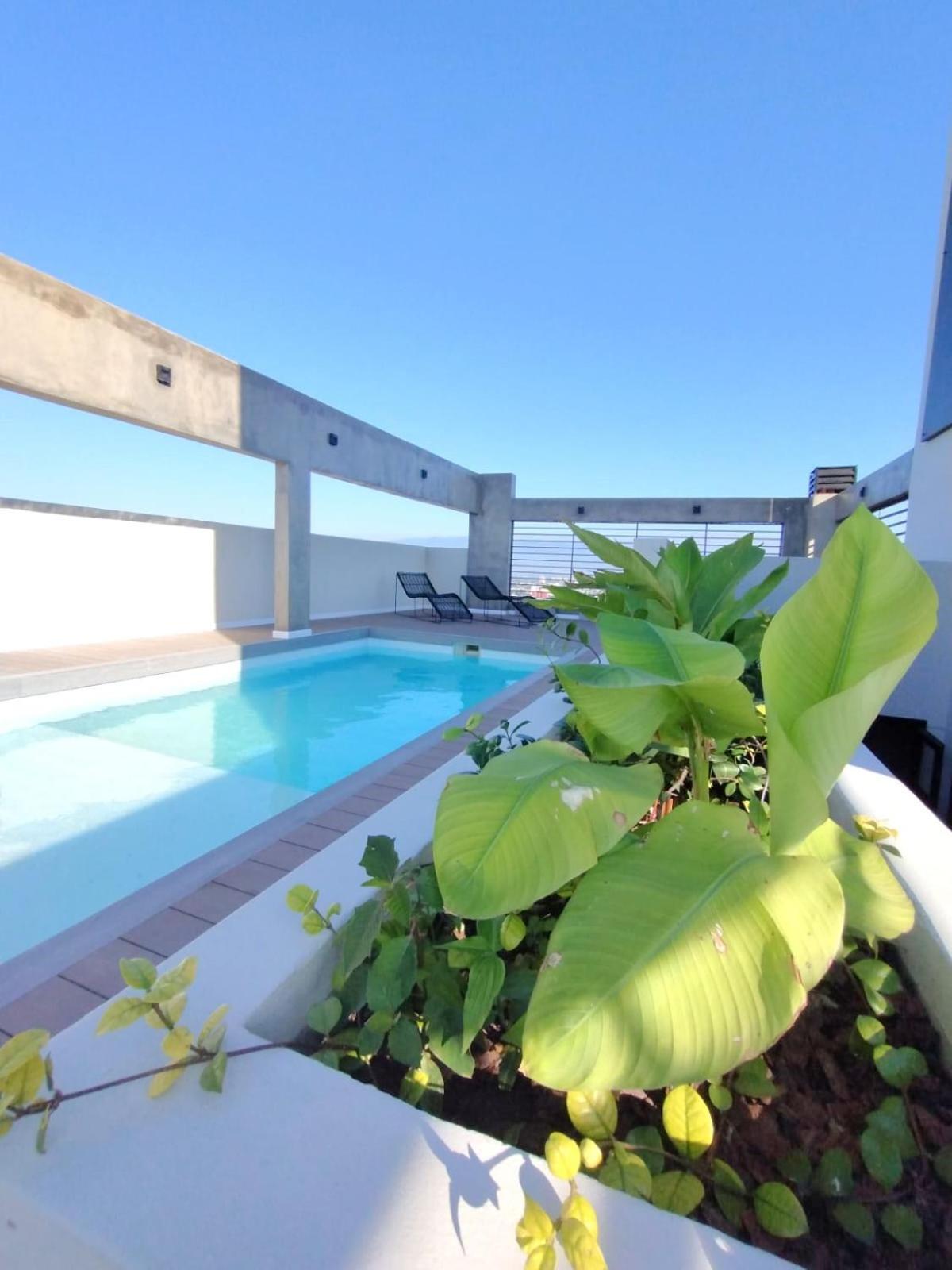 Rent For Days - Mono Zoe * San Miguel de Tucuman